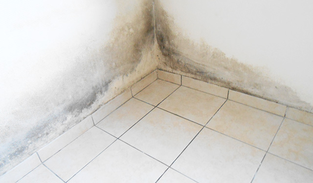 Humiprotect-Humidité-Brabant wallon-Liège