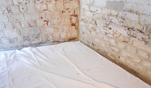Humiprotect-Humidité-Bruxelles-Liège